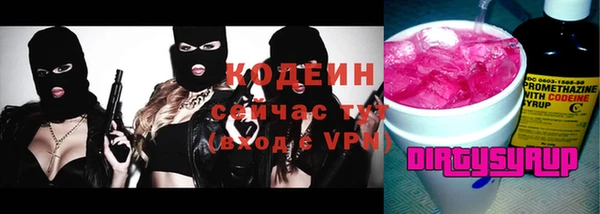 прущая мука Вяземский