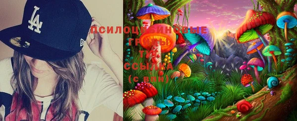 прущая мука Вяземский