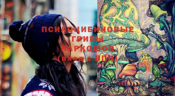 СК Вязьма