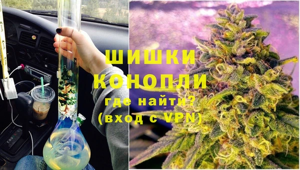 прущая мука Вяземский