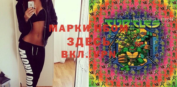 СК Вязьма