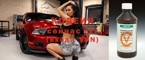 СК Вязьма